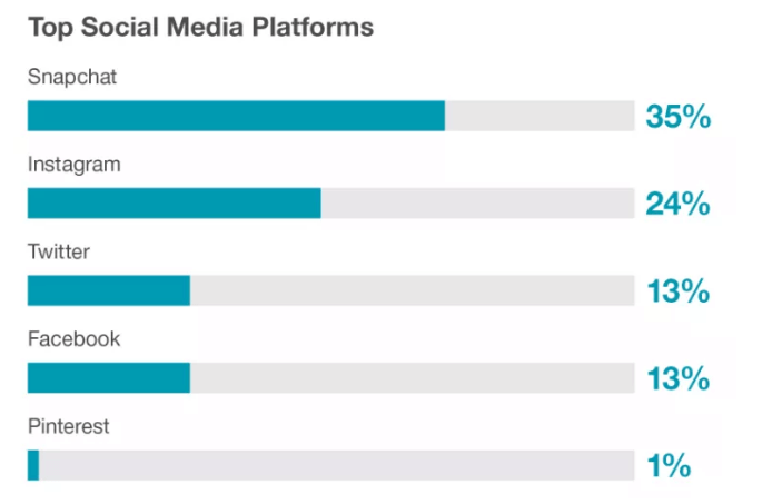 Eien Grafik zu den Top Social Media Plattformfen